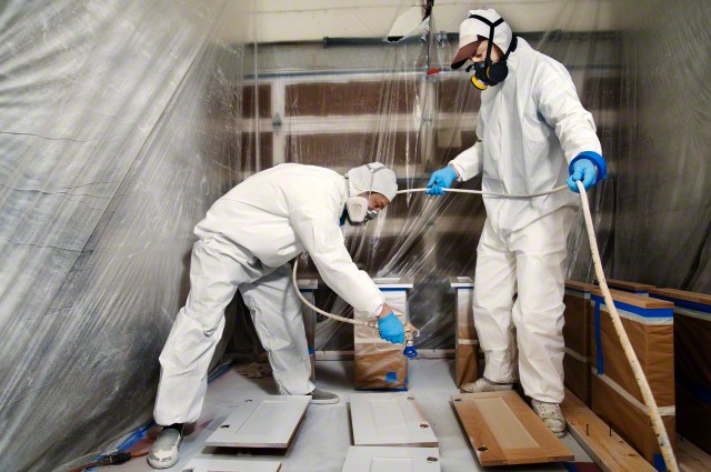 Dash Pest Control Dash Pest Management